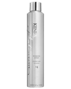 Kenra Platinum Working Spray #14 10 oz
