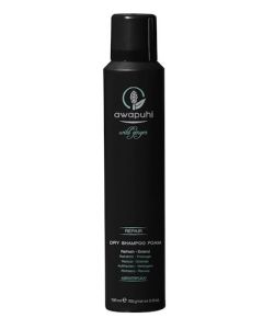 Paul Mitchell Awaphui Wild Ginger Dry Shampoo Foam
