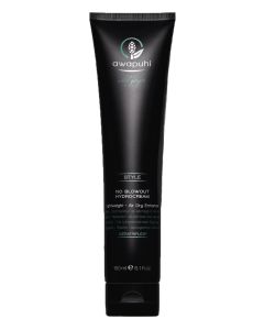 Paul Mitchell Awapuhi Wild Ginger No Blowout HydroCream 5.1 oz (Disc)