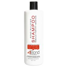 Dennis Bernard 4Bond Bond Building Shampoo