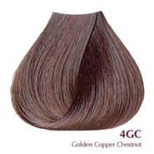 Satin Professional Hair Color 4GC 3 oz