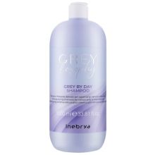 Inebrya Greylosophy Grey By Day Shampoo