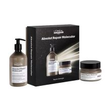 L'oreal Professionnel Absolut Repair Molecular Shampoo 16.9 oz & Professional Mask 8.5 oz Kit